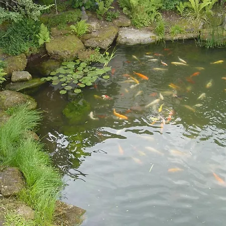 Franzbaecker Penzion Warburg