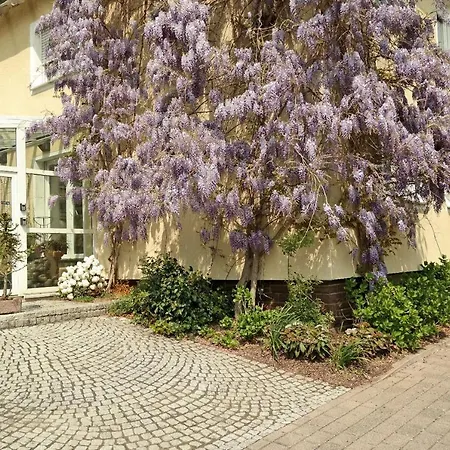 Franzbaecker 3* Warburg