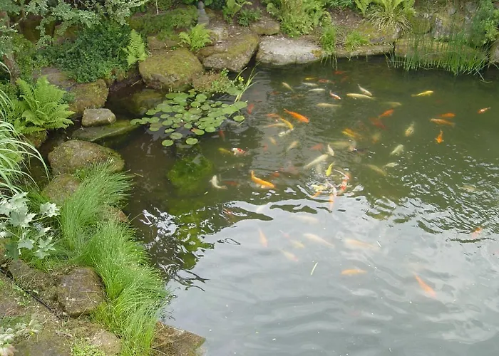 Franzbaecker Vendégház Warburg